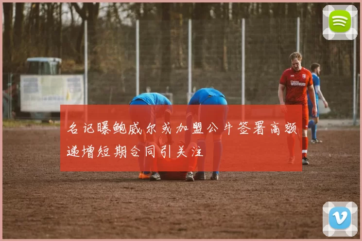名记曝鲍威尔或加盟公牛签署高额递增短期合同引关注